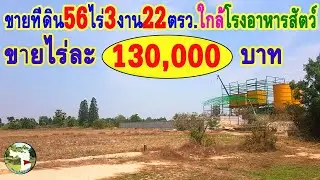 📌(ปิดการขาย)ที่ดิน56ไร่3งาน22ตรว.💶ขายไร่ละ130,000บาทต.ทะเลบกอ.ดอนเจดีย์จ.สุพรรณบุรี📞098-8451057