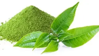 Green Tea (Matcha)