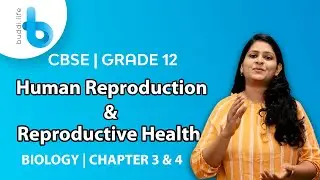 Human Reproduction & Reproductive Health | Chapter 3 & 4 | 12th CBSE Board Exams | buddi Academy