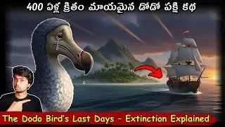 400 ఏళ్ల క్రితం మాయమైన డోడో పక్షి కథ || The Dodo Bird&rsquo;s Last Days &ndash; Extinction Explained