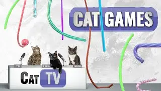 КОТ-игры | Paws & Play: струнные анимации для кошек! 🐱🎬