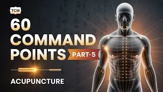 60 Command Points - Part 5 - Full Video #tcm #acupuncture #fiveshupoints