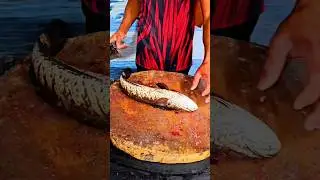 amazing cutting skills live varal korameen #youtubeshorts #india #viral #fishcutting #shorts #fish