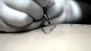 evilink Аудио-виз... ПД 2014