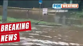 Flooding Swamps Central Maryland
