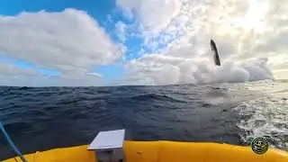 [NOVAS IMAGENS] STARSHIP V2 POUSA NO MAR - VOO 11