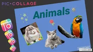 Pic Collage  - Full Tutorial 2024