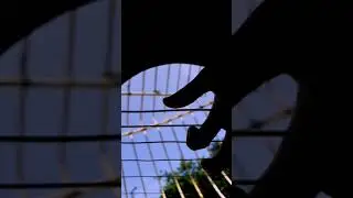 [ TABS ] LISA - Money Fingerstyle