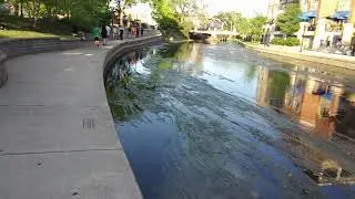 Naperville Riverwalk in downtown Naperville, Illinois