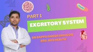 Class 11-12: Excretory System - Part 1 | Dr. Bappa Ghosh Shawon | BDS, BCS(Health)