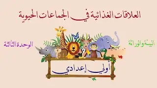 الدرس الاول العلاقات الغذائية في الجماعات الحيوية علوم الصف الاول الاعدادي الفصل الدراسي الثاني 2025