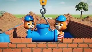 Construction Cats at Work &ndash; Building a Pool