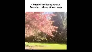 Sometimes I destroy my own Peace just to keep others happy🍃🪻#peaceful #shorts#new#nature#lifelessons