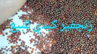 -الزنجفير او الزنجفر او السينابار أو كبريتيد الزئبق الزنجفور الكبدي للبيع -مراكش