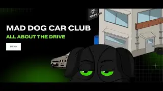 Mad Dog Car Club Mint (This Project Will 10x+ The Same Day!)