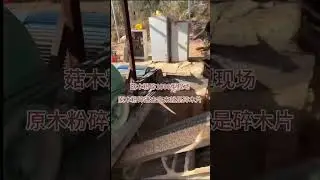 #installation#wood #crusher #biomass #log Jingying Big wood log crusher Diesel mobile sawdust making