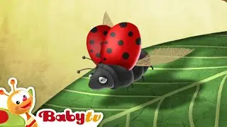 Ladybug | Riddle Games With Animals | Animal for Toddlers @BabyTV