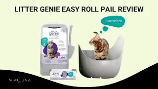 Don&rsquo;t Buy Another Litter Disposal System Until You See This Litter Genie Easy Roll Pail Review