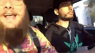 anything4views and Iceposeidon alsmot hit by car