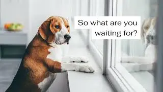 ePet.hk offers a wide range of pet food!  Low prices! $250 Free delivery! #dog #petfood #cat #raw