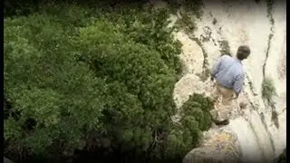 Marc Pala et la garrigue, ou le d&eacute;chiffrement du visible