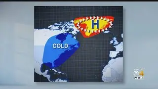 Why This Year's Snowy Winter Weather Predictions Were A Bust