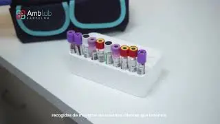 Log&iacute;stica Proceso de recepci&oacute;n de muestras