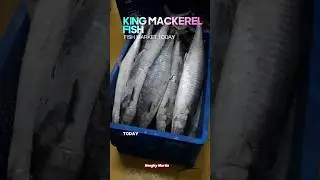 1 Ton of Export-Quality King Mackerel! Cold Storage Secrets for Freshness 🐟❄️ #SupplyChain