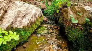 Mindful River Meditation | Calm Your Anxiety with Pure Water Sounds