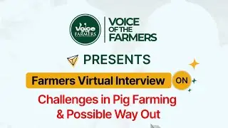 CHALLENGES IN PIG FARMING BUSINESS AND POSSIBLE WAY OUT.