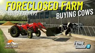 FORECLOSED FARM - Getting COWS - Court Farm Ep2 - Farming Simulator 22 #courtfarm #fs22