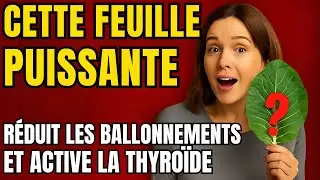 Cette feuille puissante r&eacute;duit l'enflure et active la thyro&iuml;de