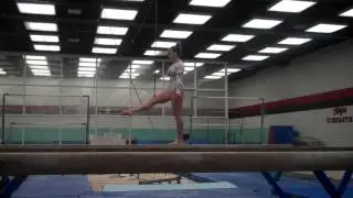 Shelby Vertes Beam
