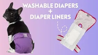 How to Combine Diaper Liner with Washable Dog Diaper | Paw Inspired&reg; Reusable Diaper & Diaper Liner