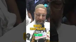Owaisi's Israel-Related Attack On PM Modi | Lok Sabha Elections