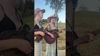 When Night Falls - Sweet Sally live at Sierragrass
