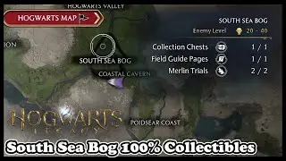Hogwarts Legacy SOUTH SEA BOG ALL COLLECTIBLES (100% Collectible Guide)