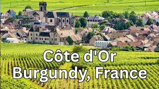 A Wine Lover's Dream Trip in Burgundy's C&ocirc;te d'Or