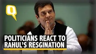 &lsquo;Jai Shri Ram&rsquo;: Smriti Irani on Rahul&rsquo;s Resignation as Congress President | The Quint