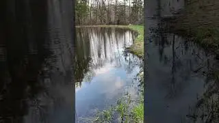 Looking for a weird noise in the Northeast Kingdom of Vermont (Pt 2)