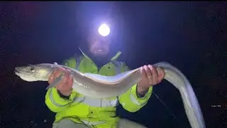 Blonde ray do exist 👀 long days fishing