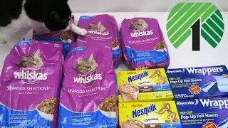 AWESOME Dollar Tree Haul FREE NESQUICK & $1 Whiskas CAT FOOD?!?