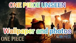 ONE PIECE UNSEEN Wallpaper and photos 