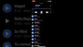 mauvaise werenoi