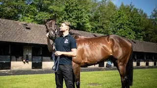 Chris Hughes on what to expect during National Racehorse Week