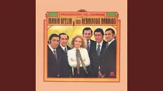 Tus Recuerdos