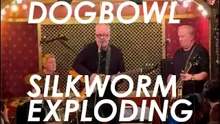 Dogbowl   Silkworm Exploding live at Petes 2 25