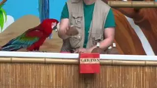 Papegaaienshow Le Monde Sauvage
