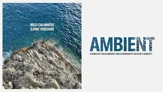 Tomasz Bednarczyk - Wild Calmness (Long Version)