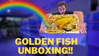 UNBOXING GOLDEN FISH!!!